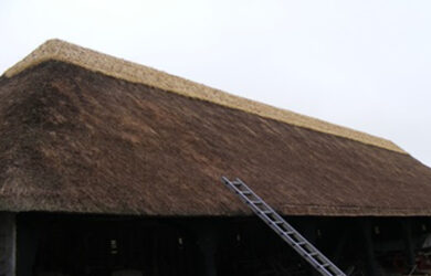 Cressing Temple Barn - Thatched Roof