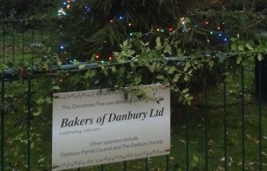 Bakers of Danbury Ltd donated a 20 foot Christmas Tree