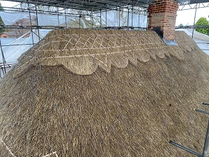 new roof thatching